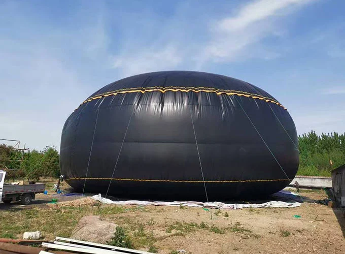 நீர் மற்றும் எண்ணெய் சேமிப்பு சிறுநீர்ப்பை